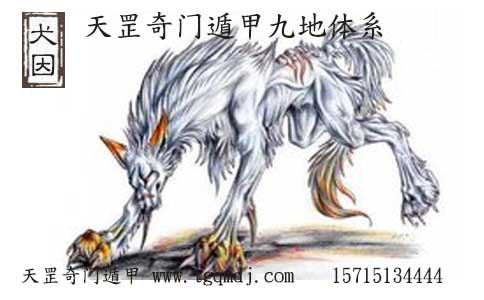 图片7.png