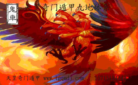 图片8.png